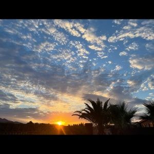 Meet your Posher, Alissa